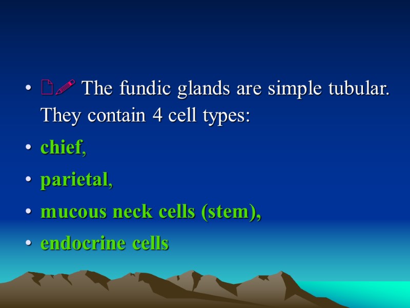  The fundic glands are simple tubular.  They contain 4 cell types: 